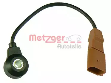 metzger-0907043
